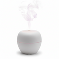 Aromatherapy Essential Oil Diffuser