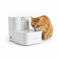 Automatic Pet Water Fountain